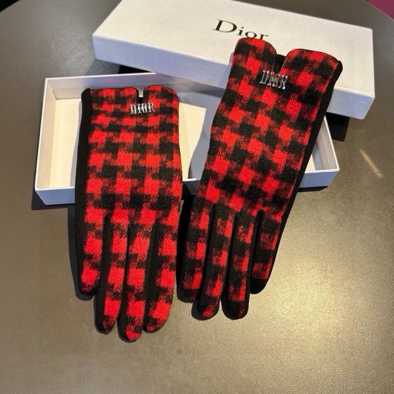 Christian Dior Gloves